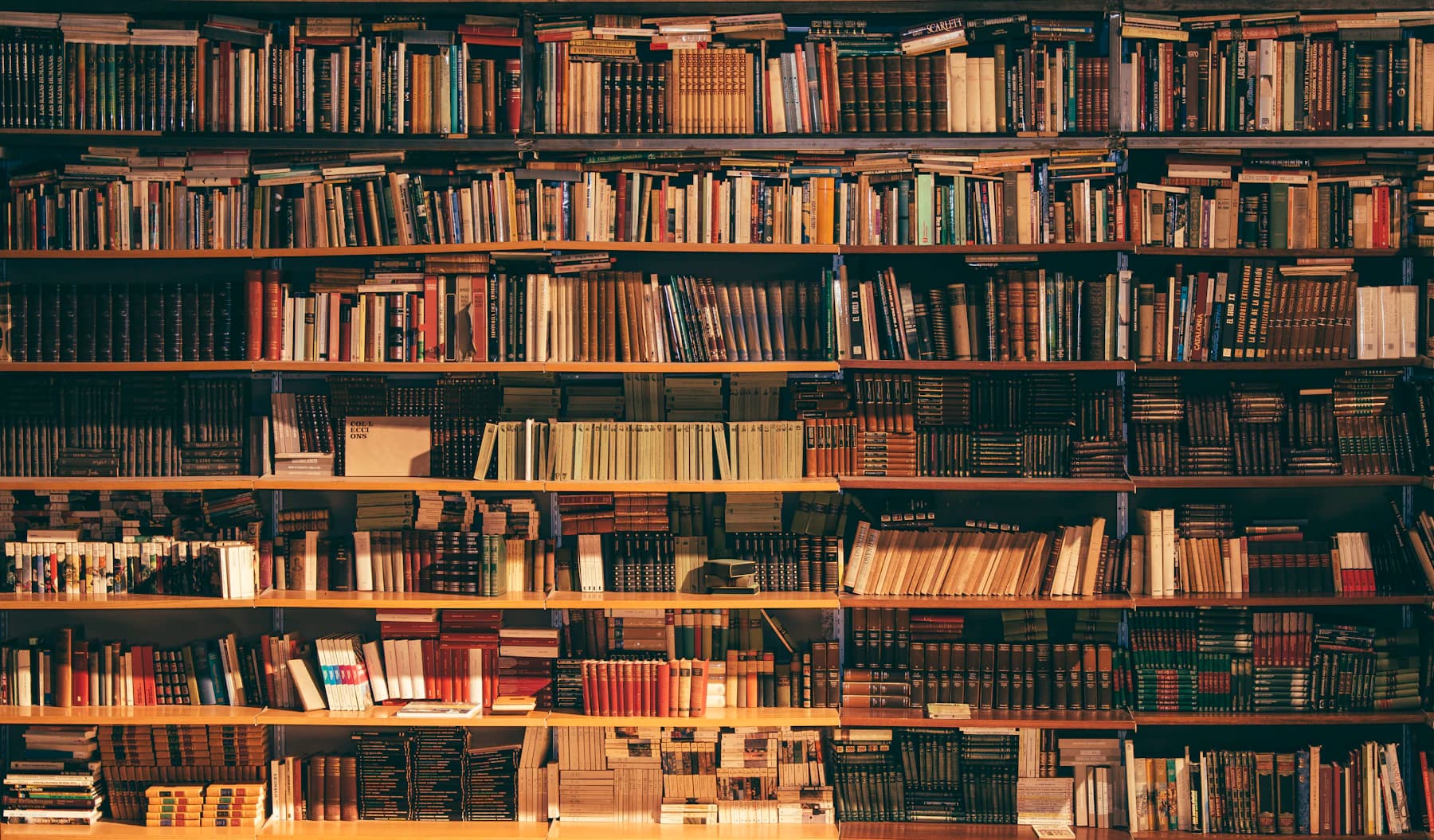 Rows of books arranged across a warmly lit library wall